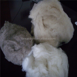 100% pure Mongolia dehaired pashmina wool fiber cashmere fibre from goat