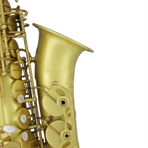 Sassofono Contralto Professionale/Classico, Struttura Robusta, Colore Guscio Giallo, Non Laccato, per Musicisti Jazz - Product Image 6