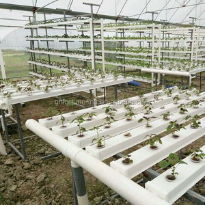 Casera sistema hidropónico de cultivo hidropónico de - Product Image 5