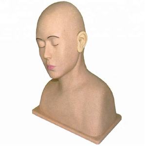 Advanced Ear irrigation simulator for <span class=keywords><strong>the</strong></span> school study - Product Image 1