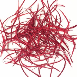 Vente en gros plumes d'oie rayées <span class=keywords><strong>Biot</strong></span> à <span class=keywords><strong>vendre</strong></span> pas cher - Product Image 3