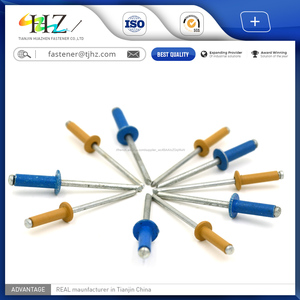 Chaude <span class=keywords><strong>fixation</strong></span> pneumatique m6 Aluminium Magnésium Alliage <span class=keywords><strong>rivet</strong></span> aveugle - Product Image 1