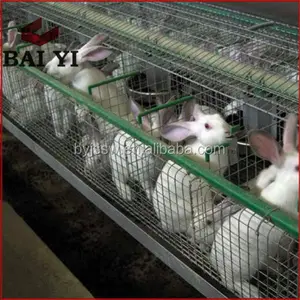 Factory Supply Discount Galvanized Commercial Rabbit Farming Cage Supplies