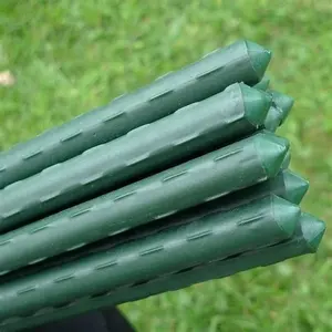 Green plastic coated tuin stakes