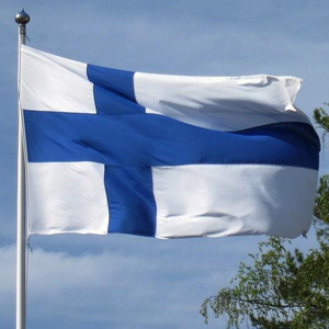 Großhandel kostenlose Probe kunden spezifisches <span class=keywords><strong>Logo</strong></span> Finnland und weiße Flagge des blauen Kreuzes - Product Image 6