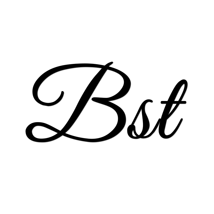 Shenzhen City Bai Shi Te Trade Co., Ltd. logo