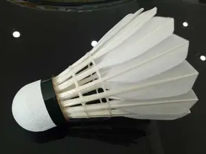 Cigu eendenveren kason shuttle indonesië hot verkoop badminton shuttle (30)