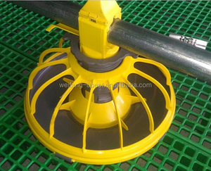 Hazır Satış Otomatik Broiler Tavuk Çiftliği için mekanik Ekipman ve Tavuk - Product Image 2
