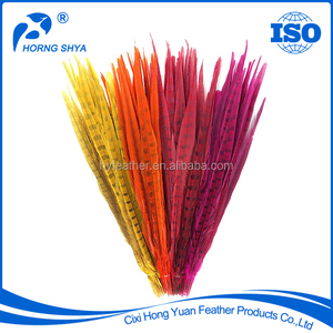 En gros <span class=keywords><strong>Pas</strong></span> <span class=keywords><strong>Cher</strong></span> Naturel et Coloré À <span class=keywords><strong>Collier</strong></span> de Queue de Faisan Plumes - Product Image 2