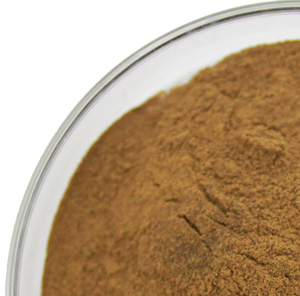 Pura esencia ganoderma lucidum pintura en polvo de esporas de hongo reishi concha rota lingzhi extracto polisacárido - Product Image 4