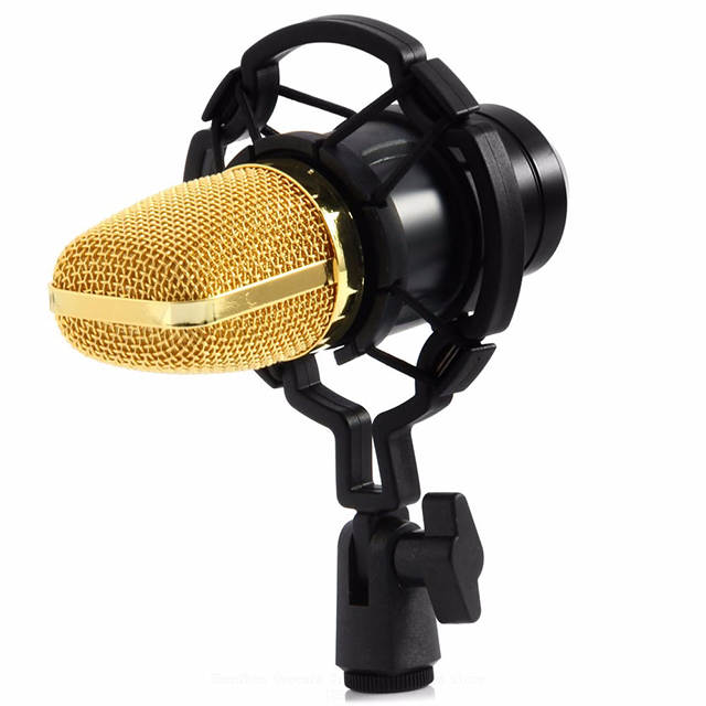 BM-700 Mic Condenser Microphone with Shock Mount and Filter