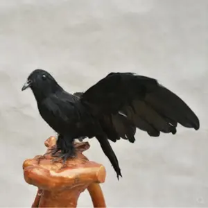 现实看万圣节装饰鸟黑色羽毛飞乌鸦