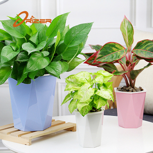 Best seller giardino decorazione idroponica fioriera vaso di fiori fiori artificiali vasi di fiori - Product Image 5