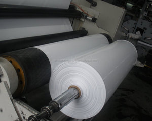 <span class=keywords><strong>Film</strong></span> en rouleau jumbo en <span class=keywords><strong>polyéthylène</strong></span> LDPE LLDPE PE, 3mil 4mil 5mil 6mil 8mil 10mil, blanc et <span class=keywords><strong>noir</strong></span>, pour l'agriculture et les serres - Product Image 4