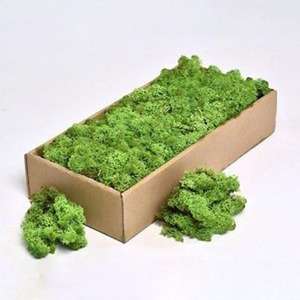 Musgo en conserva de sphagnum seco, a precio razonable, estabilizador de pared verde - Product Image 2