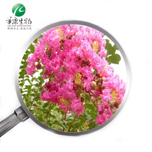 <span class=keywords><strong>Banaba</strong></span> yaprak ekstresi, <span class=keywords><strong>Banaba</strong></span> çay/<span class=keywords><strong>Banaba</strong></span> özü 1%-10%-98% Corosolic asit - Product Image 1