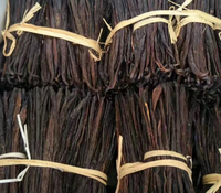 Thé santé aux fèves de vanille fraîches et naturelles en sachet