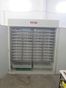 Bán Chạy Nhất Thiết Kế Mới Hoàn Toàn Tự Động Lồng Ấp Trứng Nở 6336 Trứng Để Bán - Product Image 4