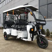 Battery Operated 3 Wheel Electric Tricycle for Adult
