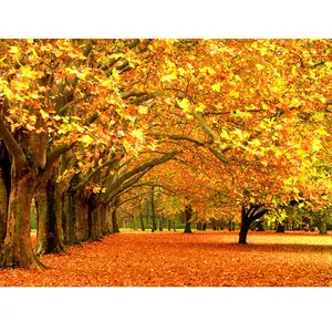 Elmas boyama sonbahar orman yaprakları tam kare yuvarlak matkap nakış elmas çapraz dikiş mozaik dekor hediye