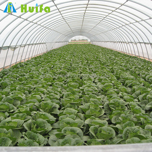 SINO AGRI Serra Monocampata in PE con Ventilazione e Porte per la Coltivazione di Ortaggi e Fiori - Product Image 4