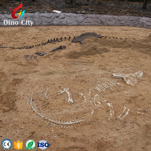 Esqueleto de <span class=keywords><strong>dinosaurio</strong></span> Artificial, calidad de museo, tamaño real - Product Image 5