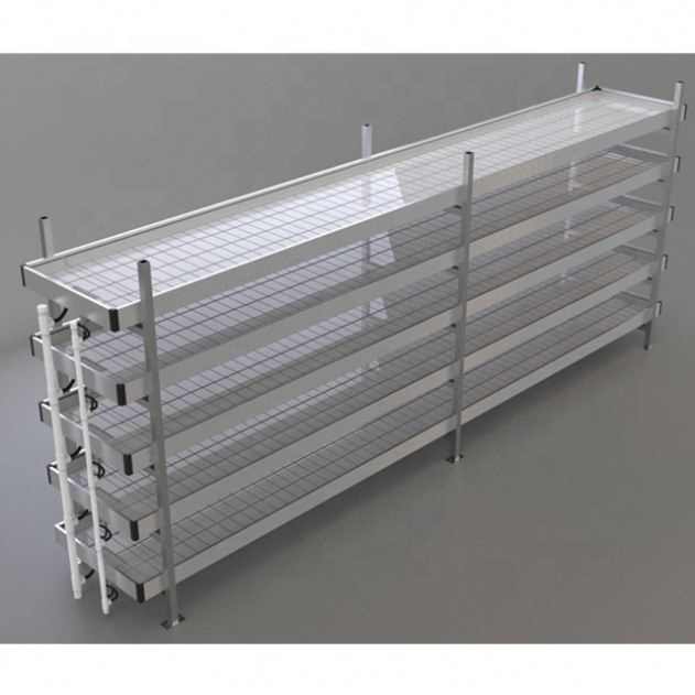 Vertical Grow Rack Hydroponic Systems - Efficient Germination