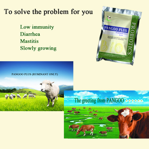Merangsang Pertumbuhan Sapi dan Domba - Product Image 1