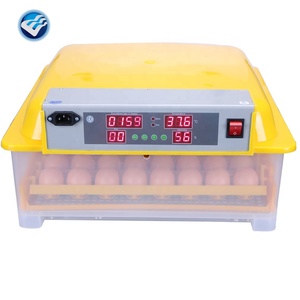 Cómo Construir una Incubadora de 48 Huevos para Huevos de Pato - Product Image 4