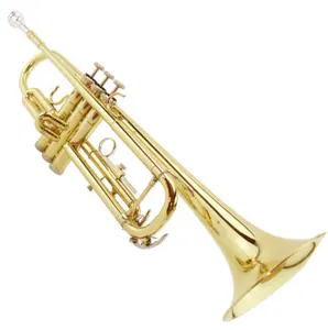 Chinese musical instrument cheap price hot selling trumpet wind instruments Bb tone for professional beginner trumpet