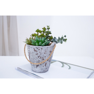 Artificielle Succulentes Bonsaï et mini Faux Plante En Pot <span class=keywords><strong>pour</strong></span> les Meubles et La Maison Décoration De Table - Product Image 1