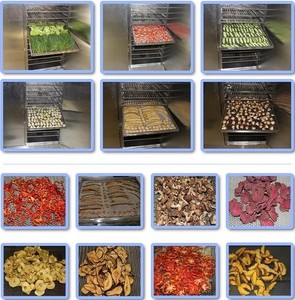Deshidratador industrial de alimentos bandeja de aire caliente máquina de secado para el cáñamo de flores de hierba de pepino de - Product Image 3