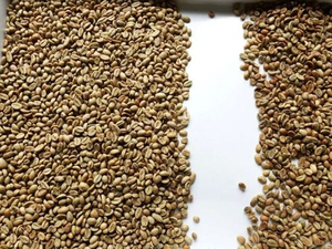 Small Compact <strong>Green</strong> Roasted <strong>Coffee</strong> Beans Color Sorter <strong>Machine</strong> 99.9% High Accuracy Wheat Corn Mung Beans Optical Sorter - Product Image 4