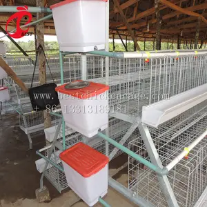 Profissional levantando coop frango casas venda gaiolas de galinhas poedeiras gaiola com preço baixo