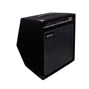 60W 3 Equalizer Bass Combo Guitar Amplifier Manufacturer from China