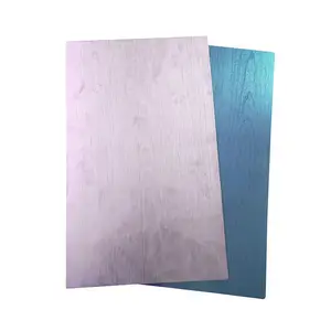 PVC/ PET Film Laminated Prepainted Galvanized Steel Coil/Plate PPGI/PPGL Color Coated For Household Appliances Writing Board