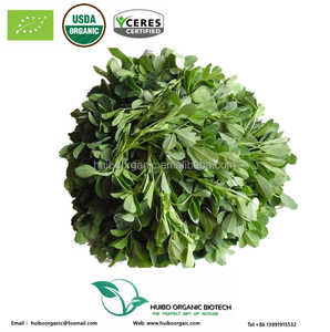 Alfalfa Powder/Alfalfa Grass Powder - Product Image 2