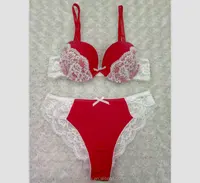 White Lace Bra and Panty Set for Ladies, High Fashion Style