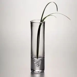 Atacado barato hidropônico planta alta cilindro de vidro transparente vaso de flor