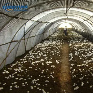 De la plantación de efecto invernadero película blanco negro de la película para agaricus Oyster de