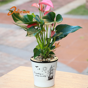 Decorativo imitación blanco cerámica jardineras platos jardín macetas con patrón interesante - Product Image 5