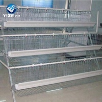 Équipement avicole de ferme des Émirats arabes unis de bonne qualité, très demandé, à vendre : Cage à poules pondeuses, Cage pour animaux, Cage en batterie