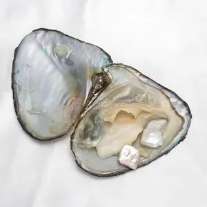 Ruwe parels zoetwater gekweekte liefde 10x10mm oesters wish parels