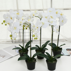 Plante de fleur d'orchidée artificielle de vraie touche haut de gamme avec Pot d'or pour la décoration de magasin de salle d'exposition de jardin d'hôtel à la maison - Product Image 6