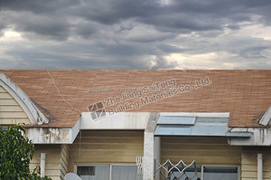 Tấm Lợp Nhựa Đường 3 Tab Nóng 2016 - Product Image 6