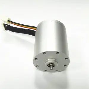 RT2835 20 mNm torque 24V 12V 10000 rpm coreless brushless dc motor manufacturers