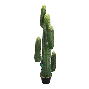 Nuovo messico <span class=keywords><strong>cactus</strong></span> tipi di 127 centimetri di altezza decorativo <span class=keywords><strong>cactus</strong></span> per plante artificielle - Product Image 5