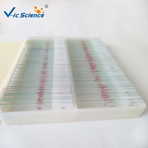 組織学顕微鏡用標本スライド 教育用ガラススライド 組織標本 組織学スライド - Product Image 4