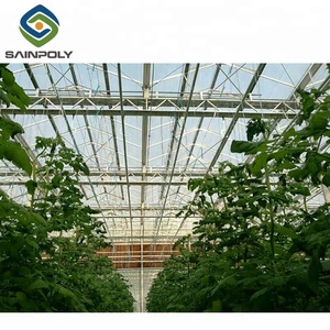 Policarbonato invernadero hidropónico <span class=keywords><strong>agricultura</strong></span> - Product Image 6