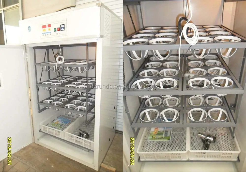 High Hatching Rate RDO-48 Ostrich Eggs Incubator/automatic Ostrich Egg Incubator Machine Price